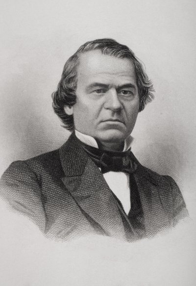 Portrait of Andrew Johnson by American School